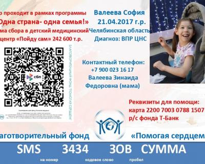 Валеева София 2025г.